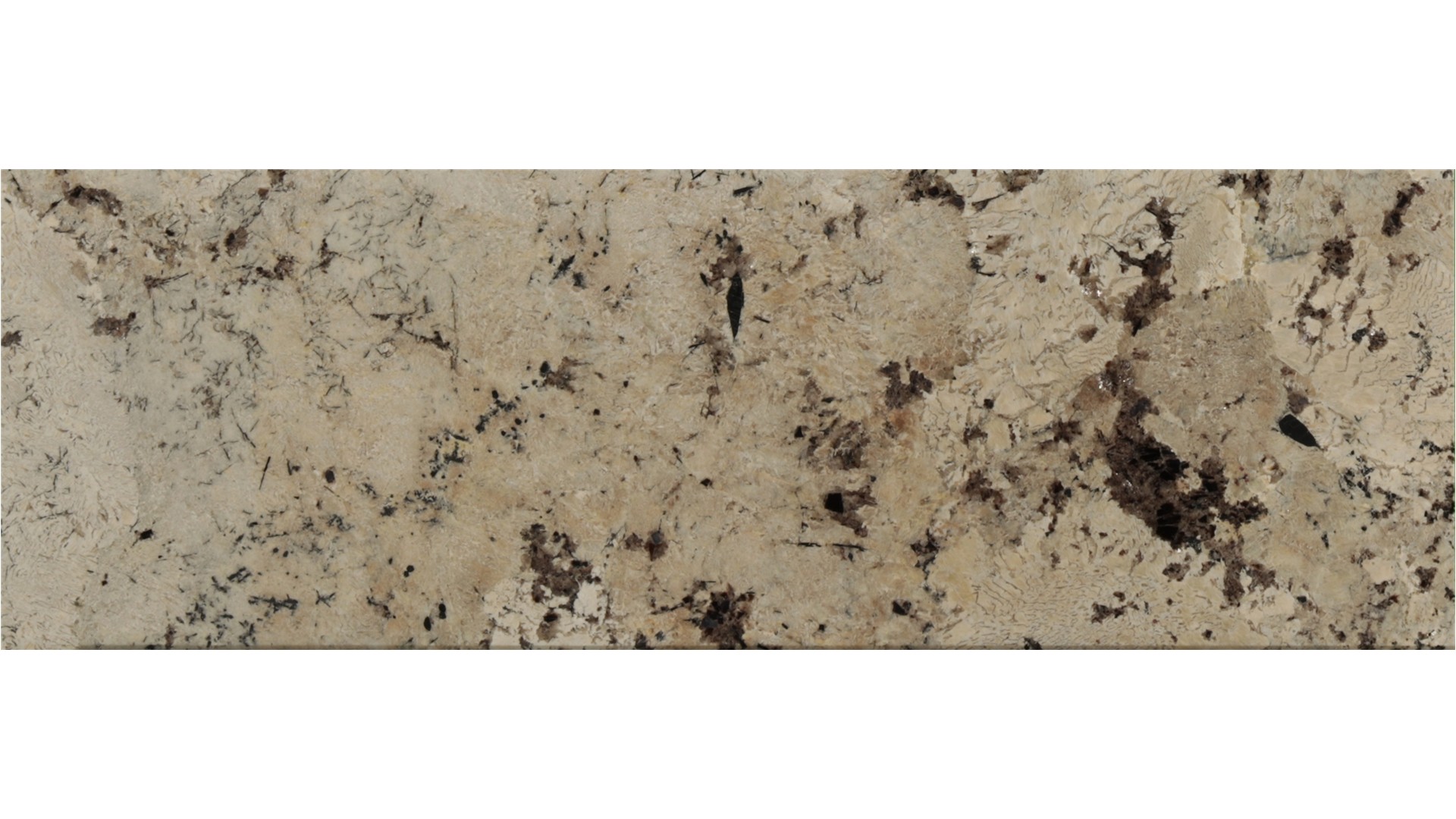 Alaska-White in Atlanta GA