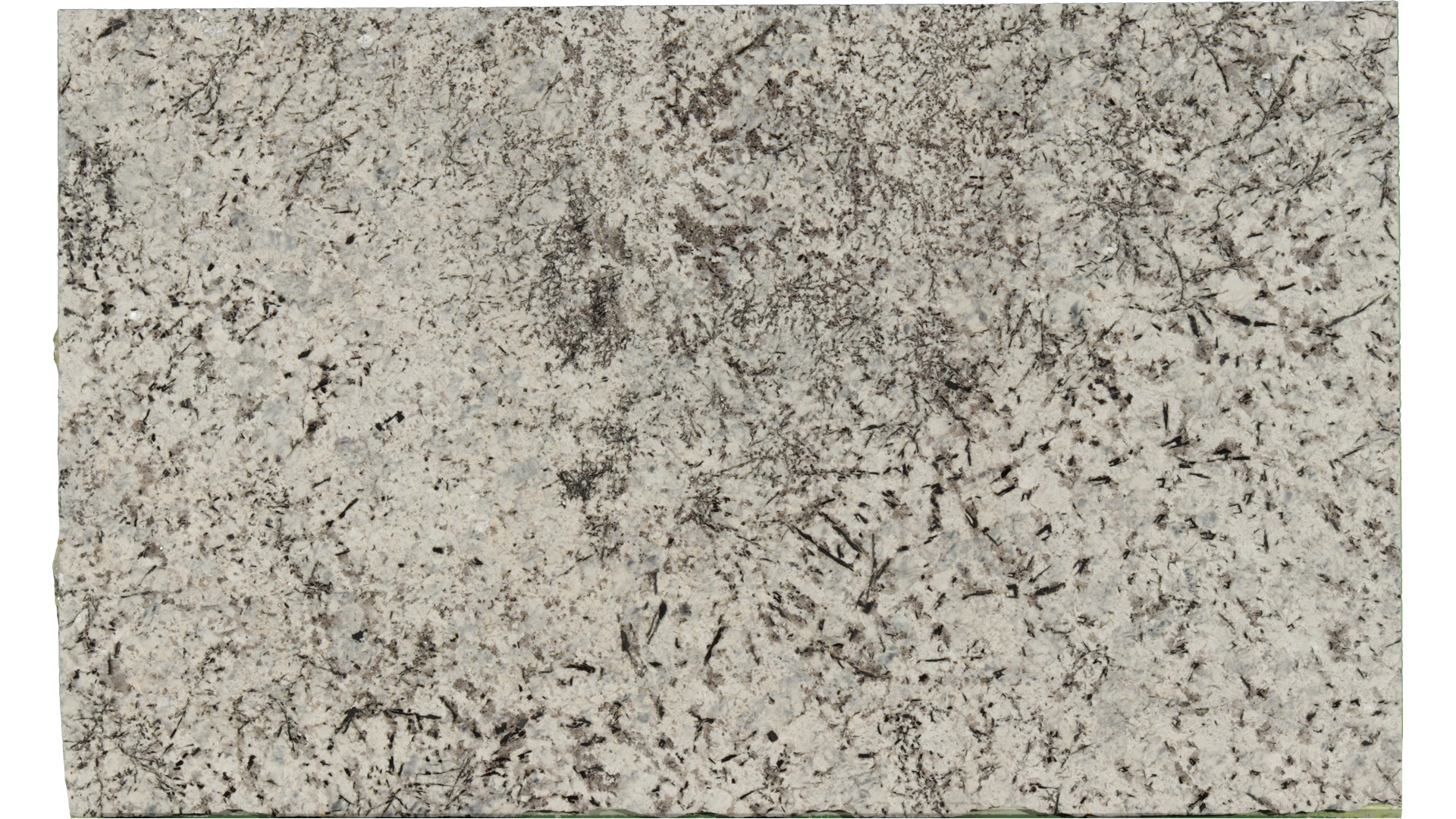 Persa-Blue in Atlanta GA