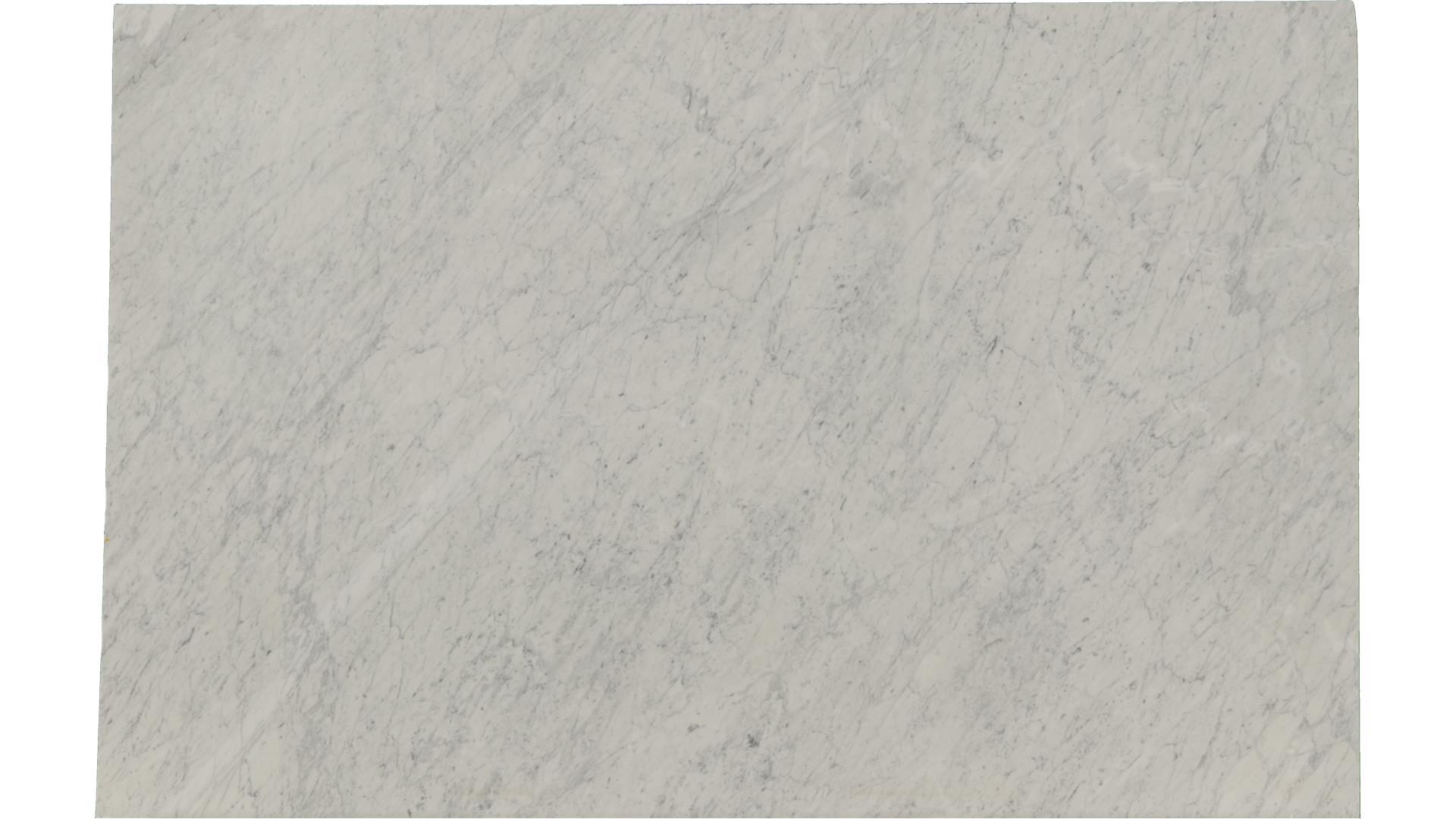 White-Carrara in Atlanta GA
