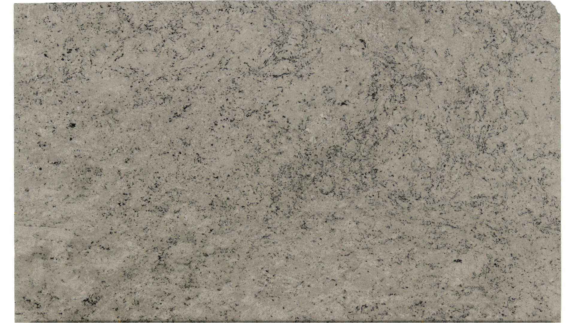 Colonial-White in Atlanta GA