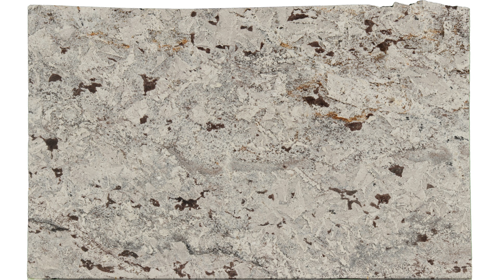 Crazy-Horse-White in Atlanta GA