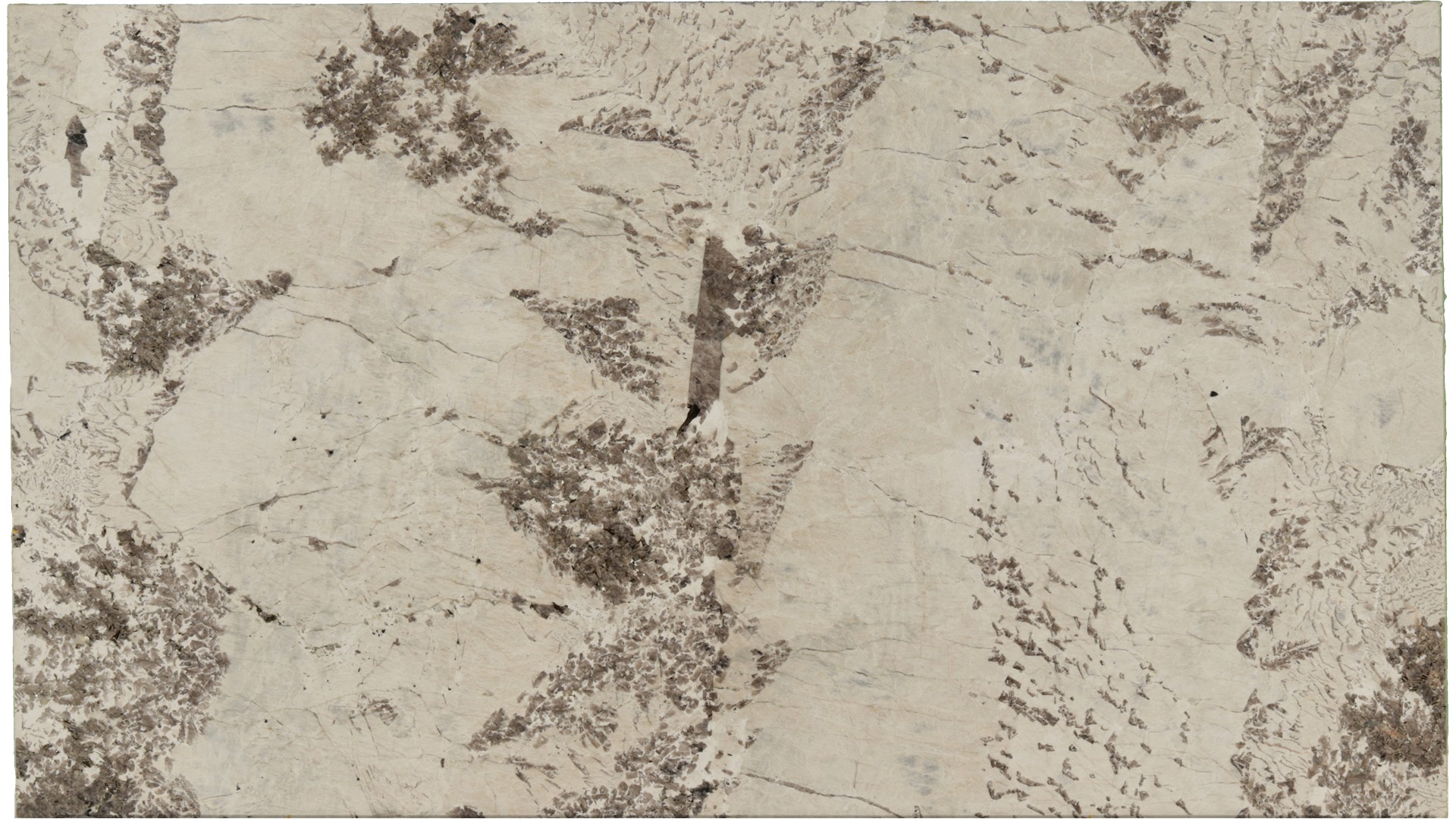 Antionette in Atlanta GA