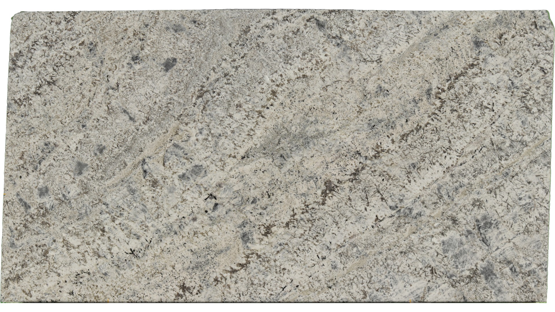 Sparkle-Grey in Atlanta GA