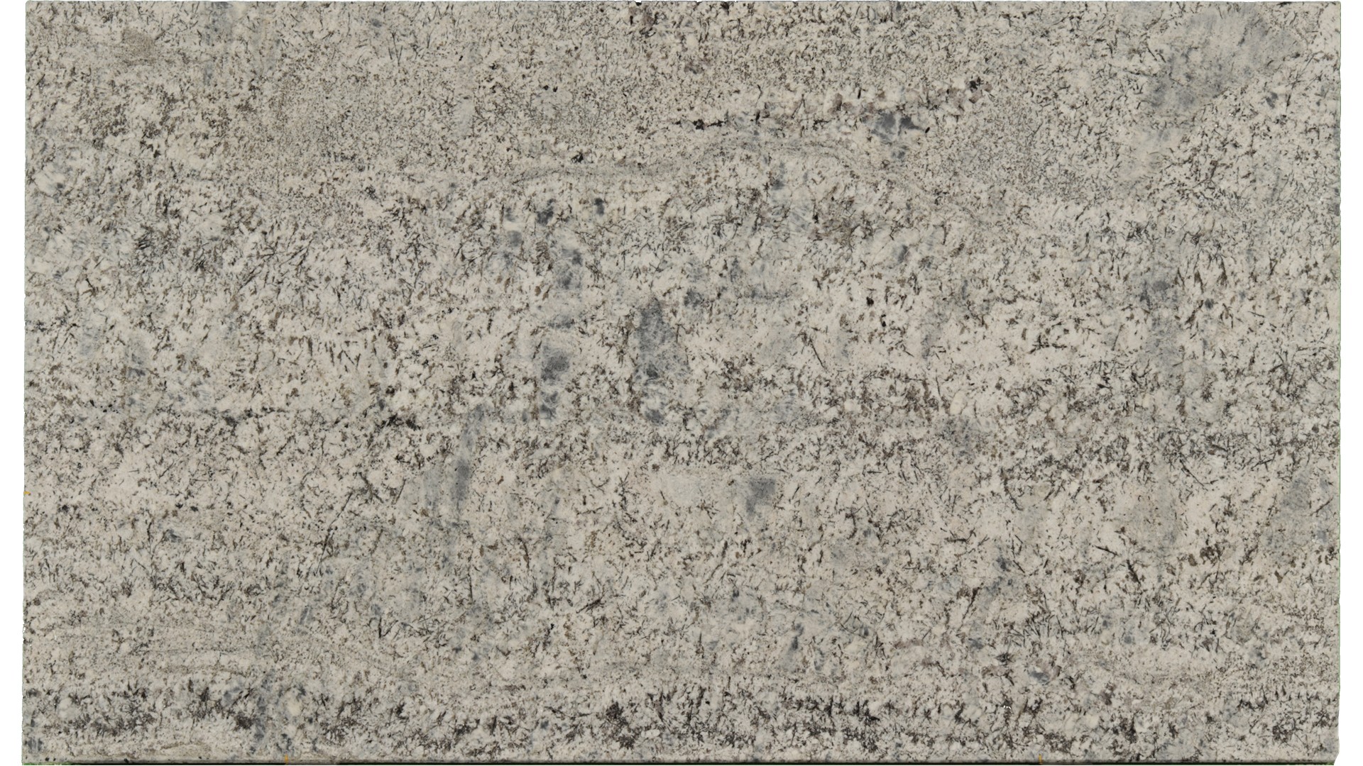 Alaska-Blue in Atlanta GA