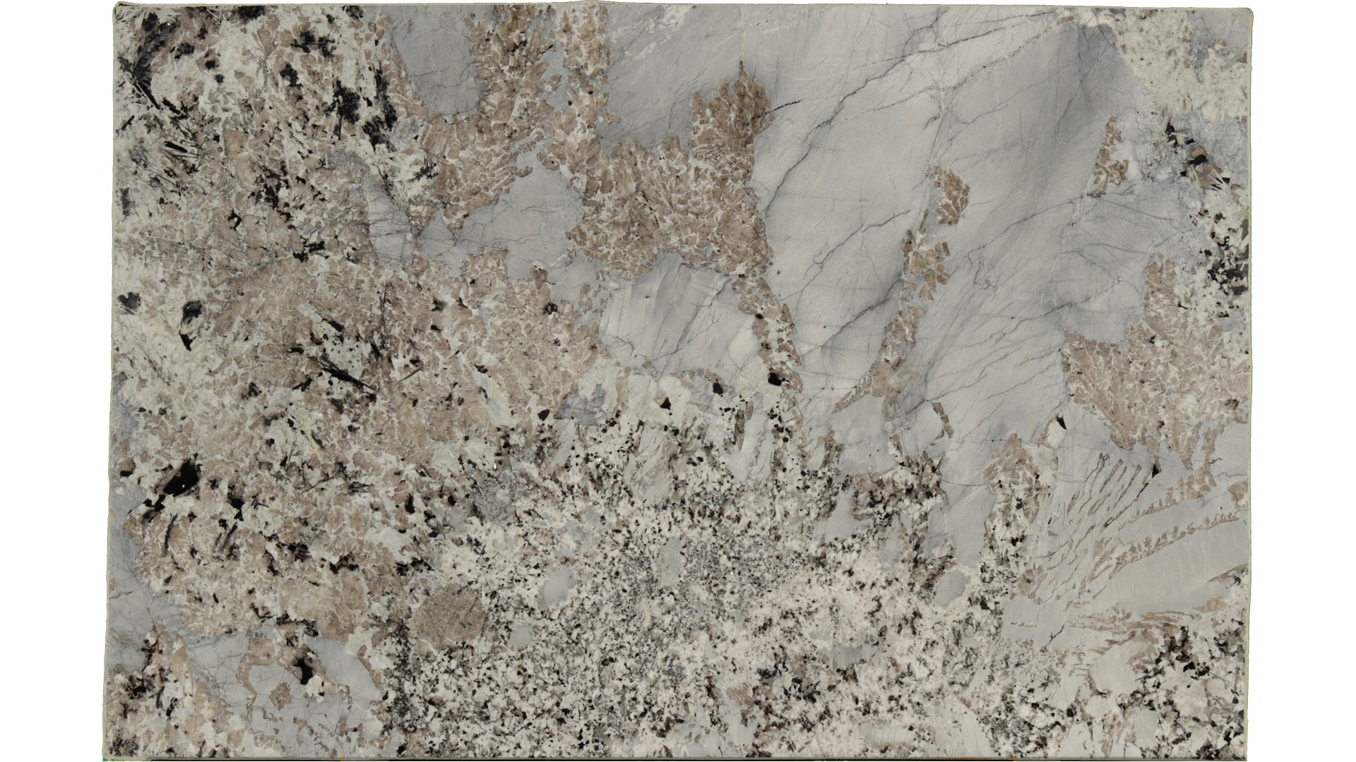 Patagonia-Blue in Atlanta GA