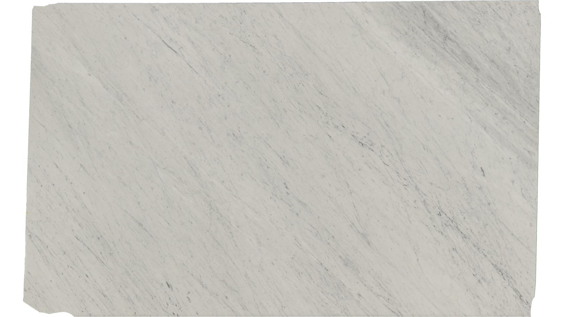 Carrara in Atlanta GA