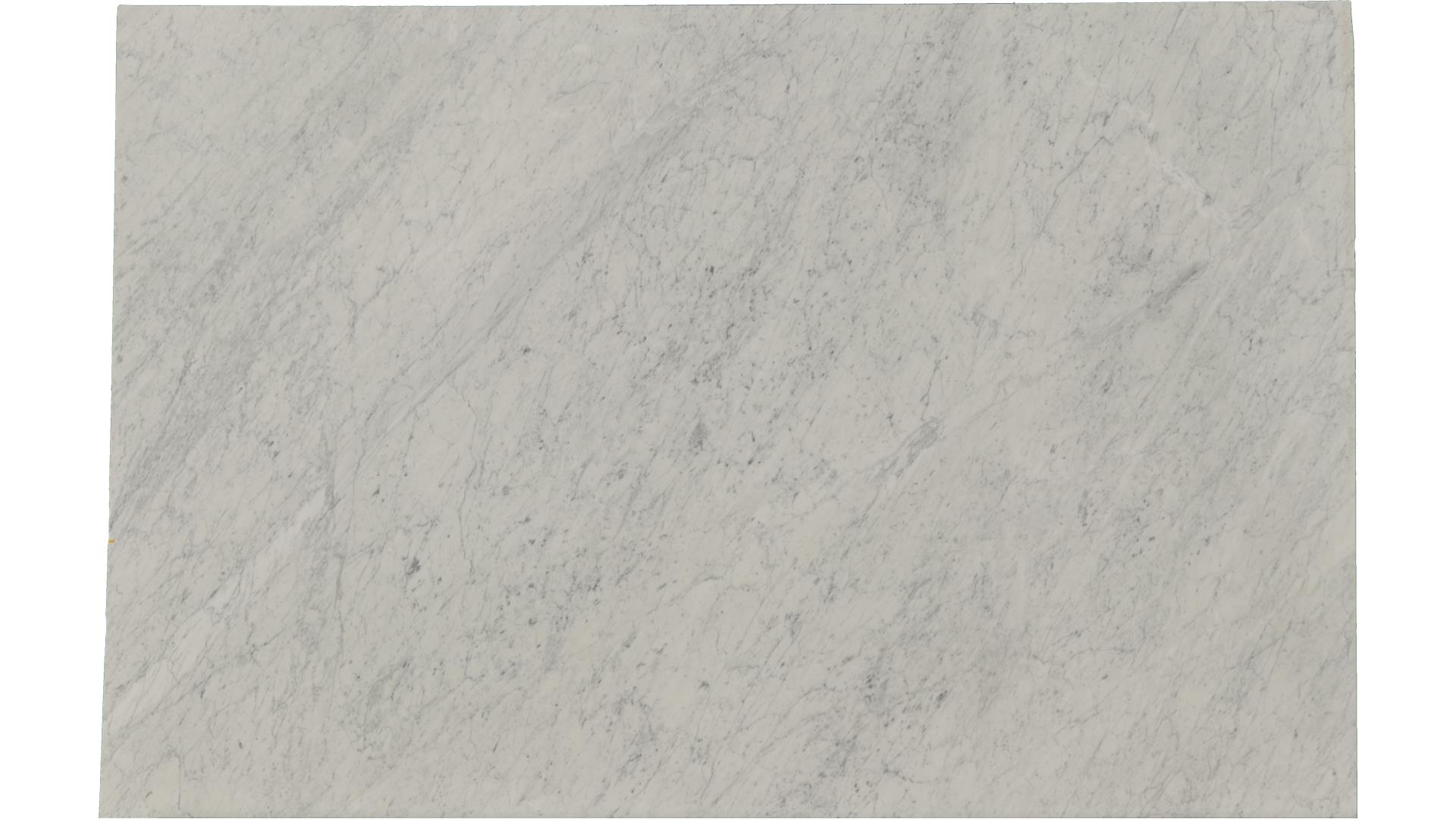 White-Carrara in Atlanta GA