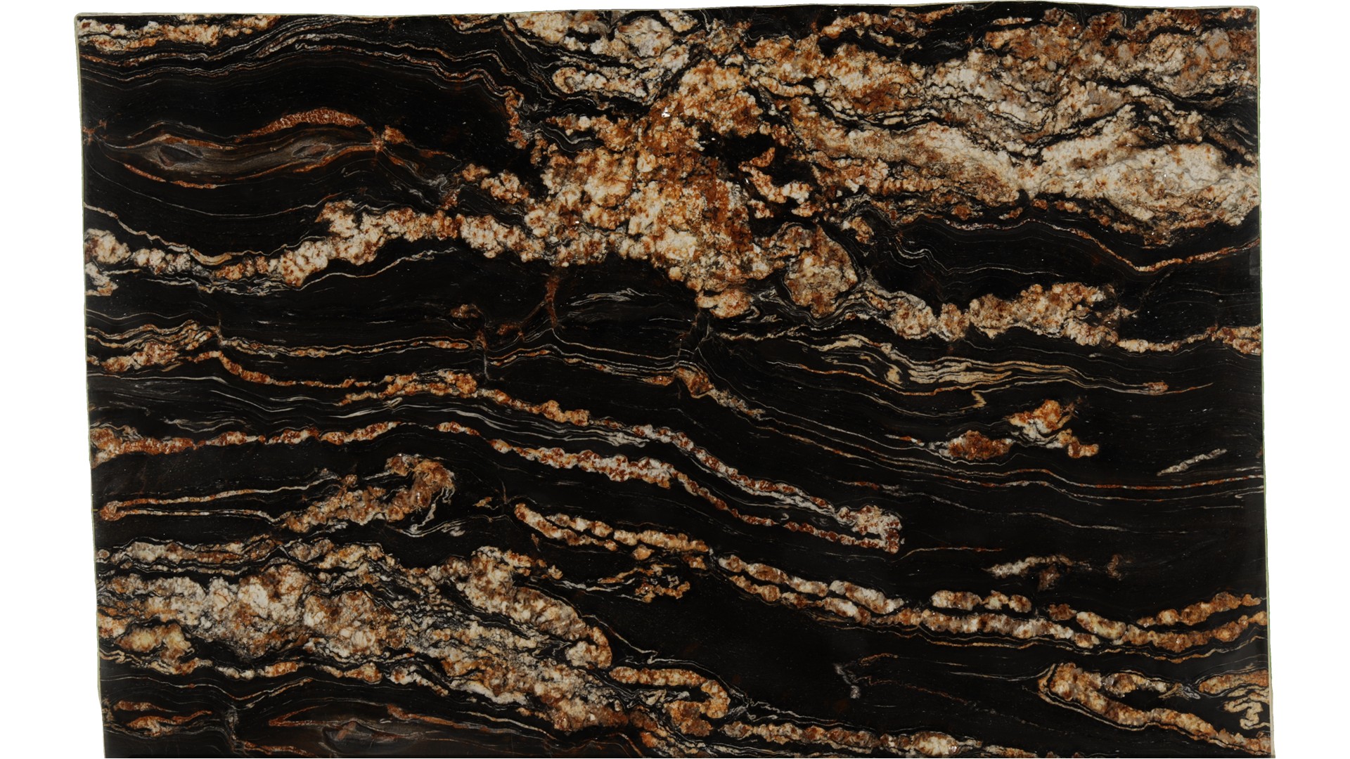 Black-Taurus in Atlanta GA