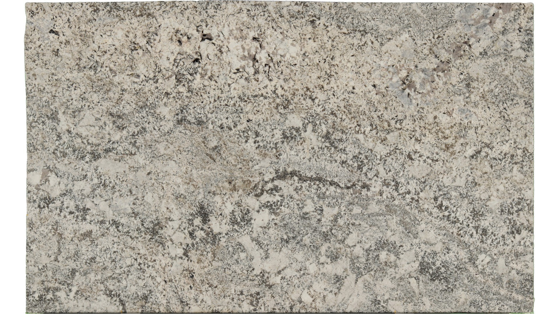 Arandis-White in Atlanta GA