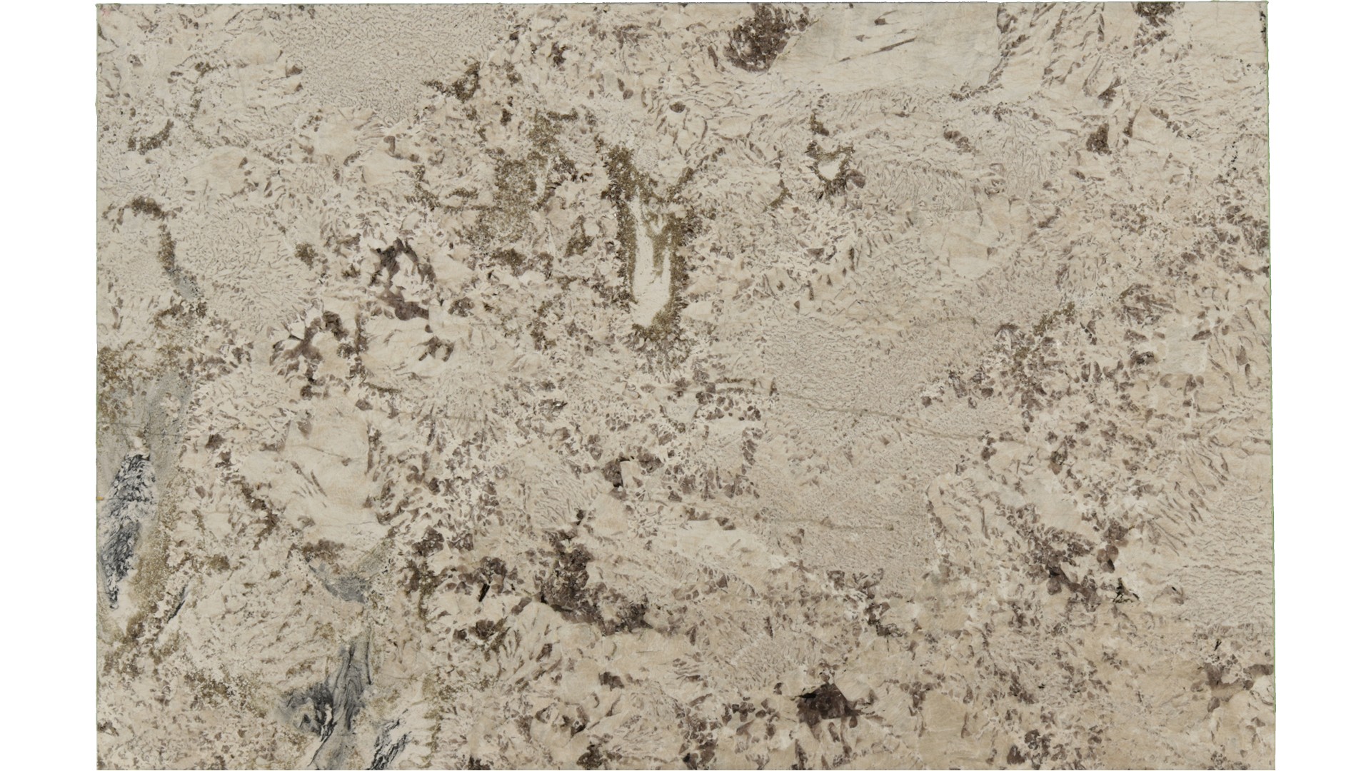 Antionette in Atlanta GA