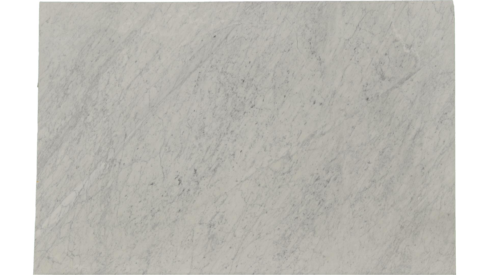 White-Carrara in Atlanta GA