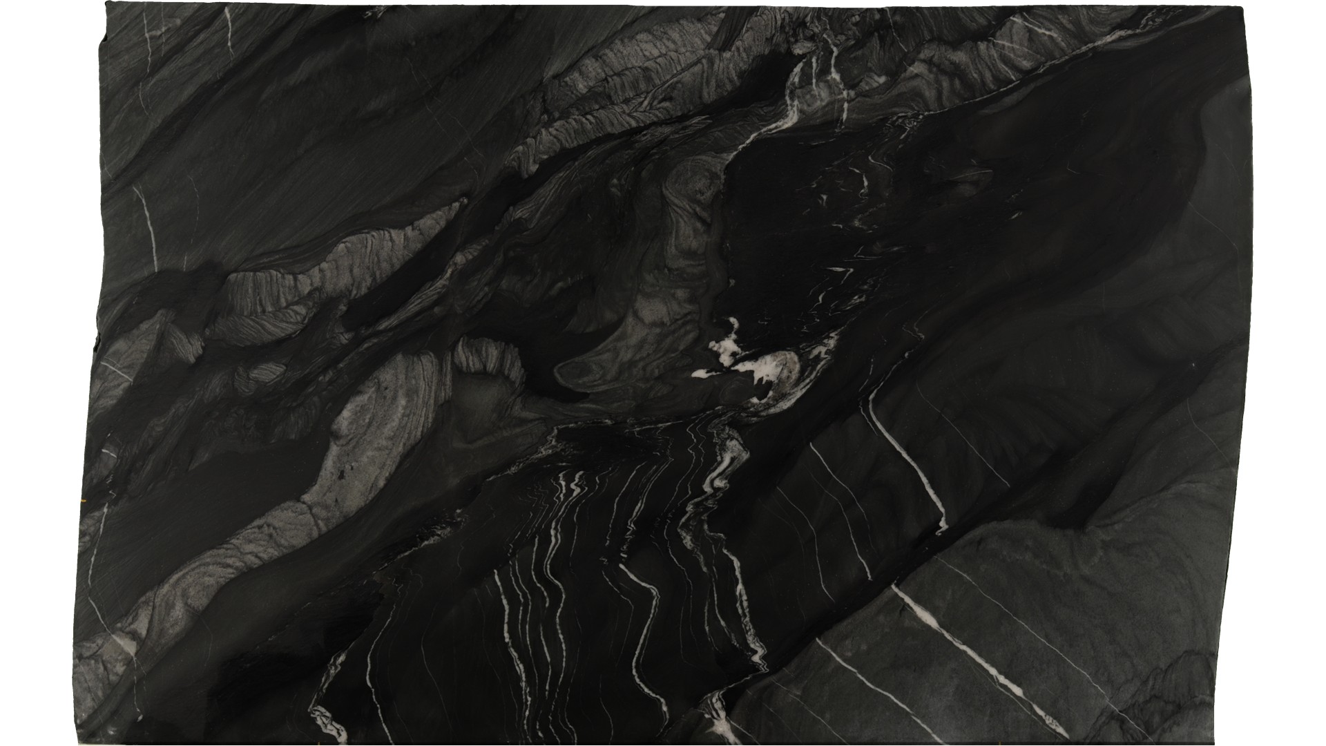 Black-Tempest in Atlanta GA