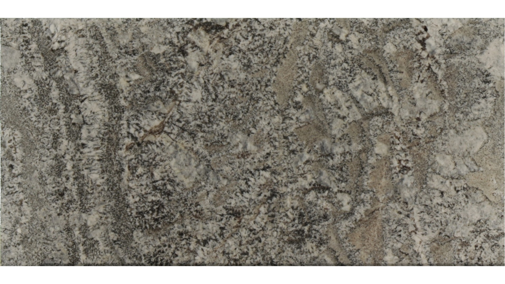 Lennon in Atlanta GA