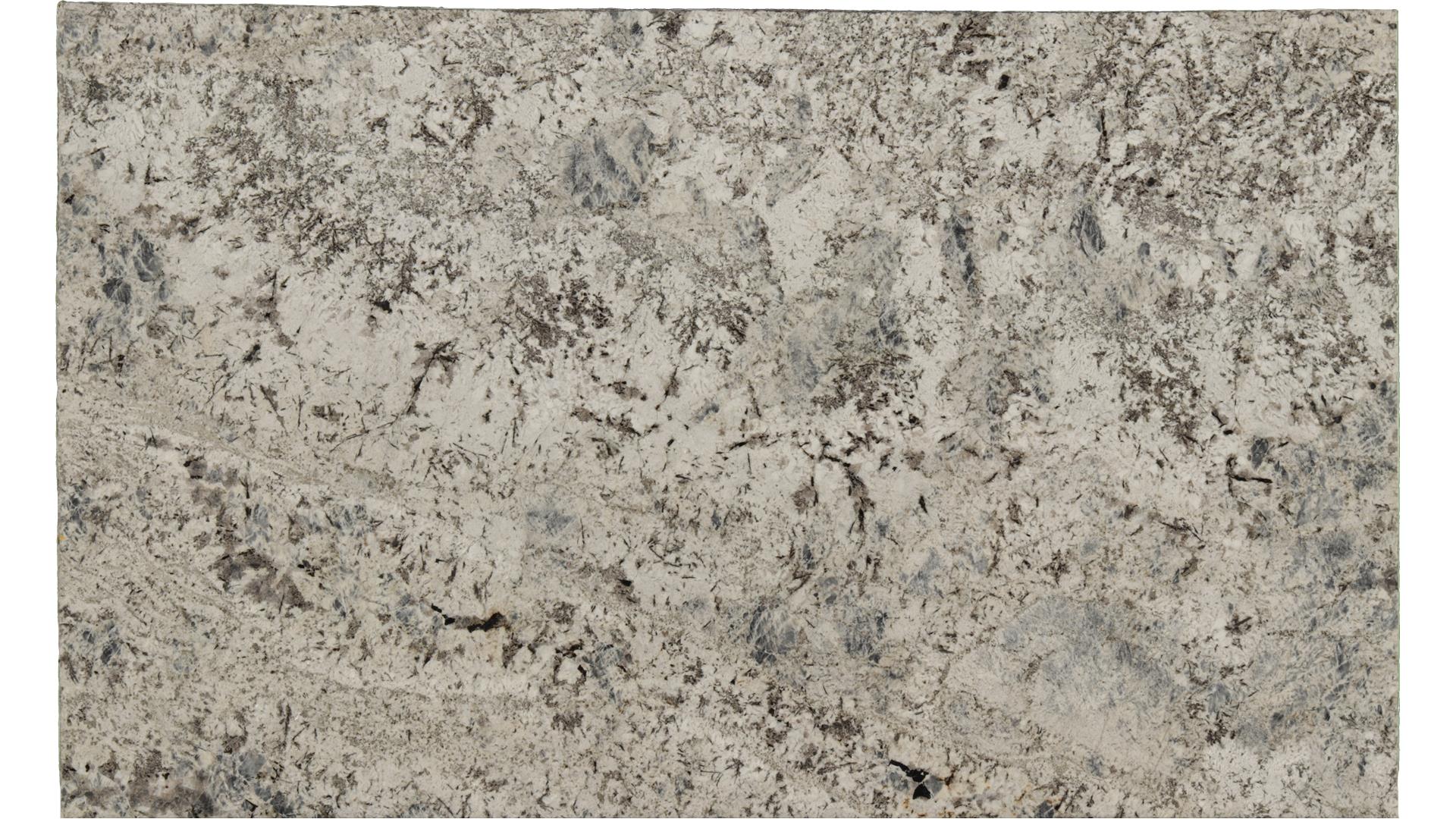 Sparkle-Grey in Atlanta GA