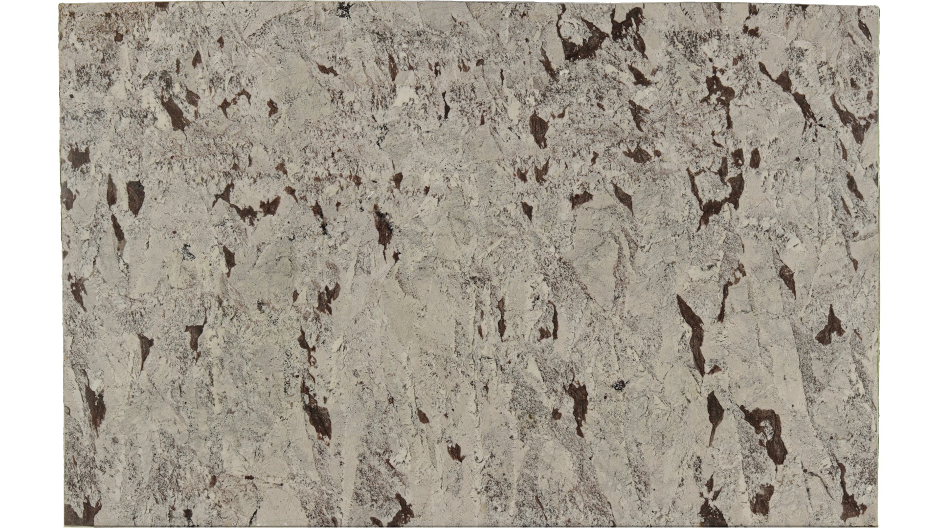 Crazy-Horse-White in Atlanta GA