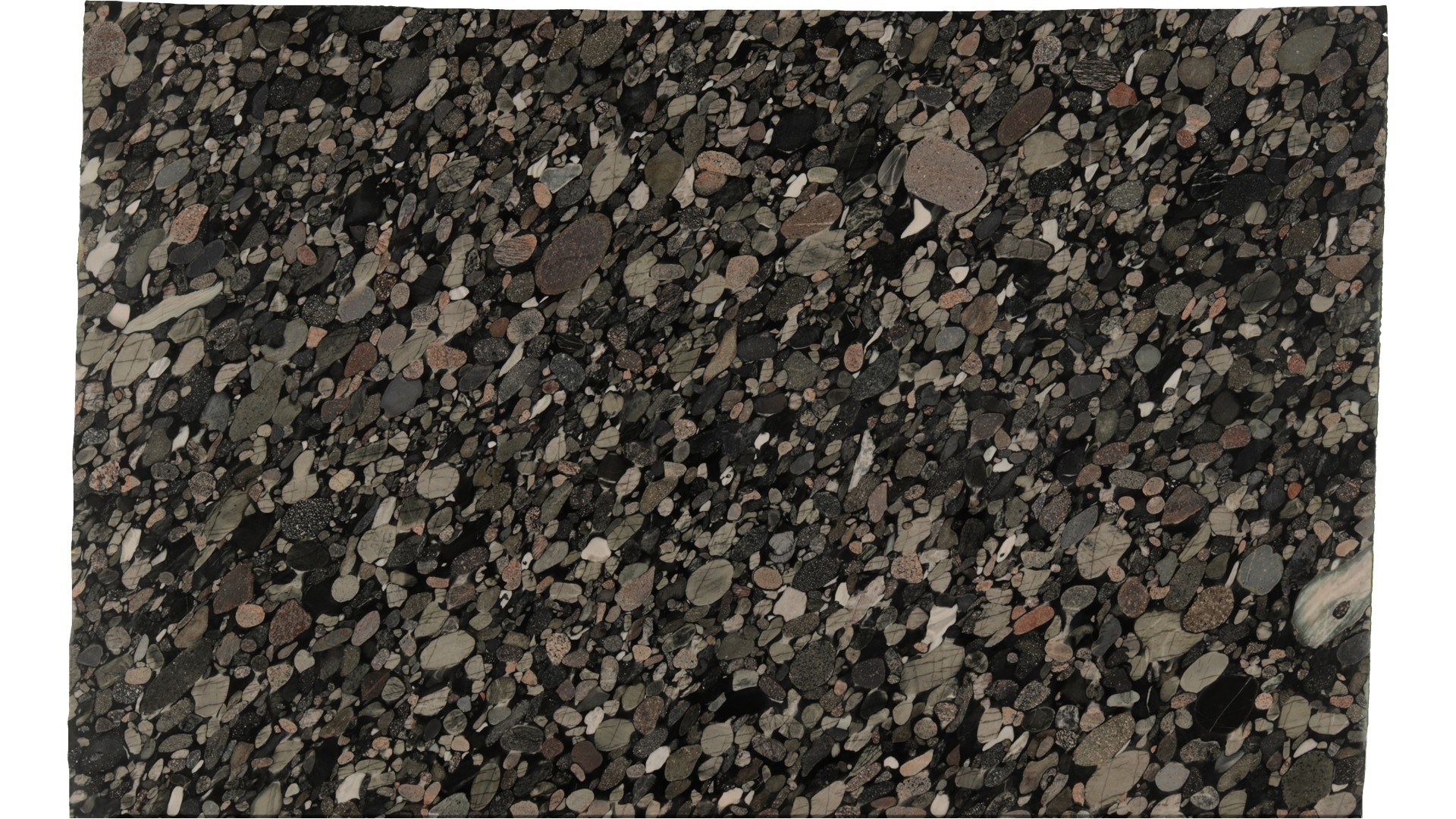 Jurassic-Black-w/gold in Atlanta GA