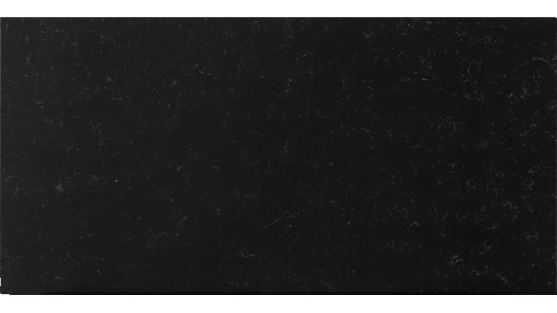 Silhouette in Atlanta GA