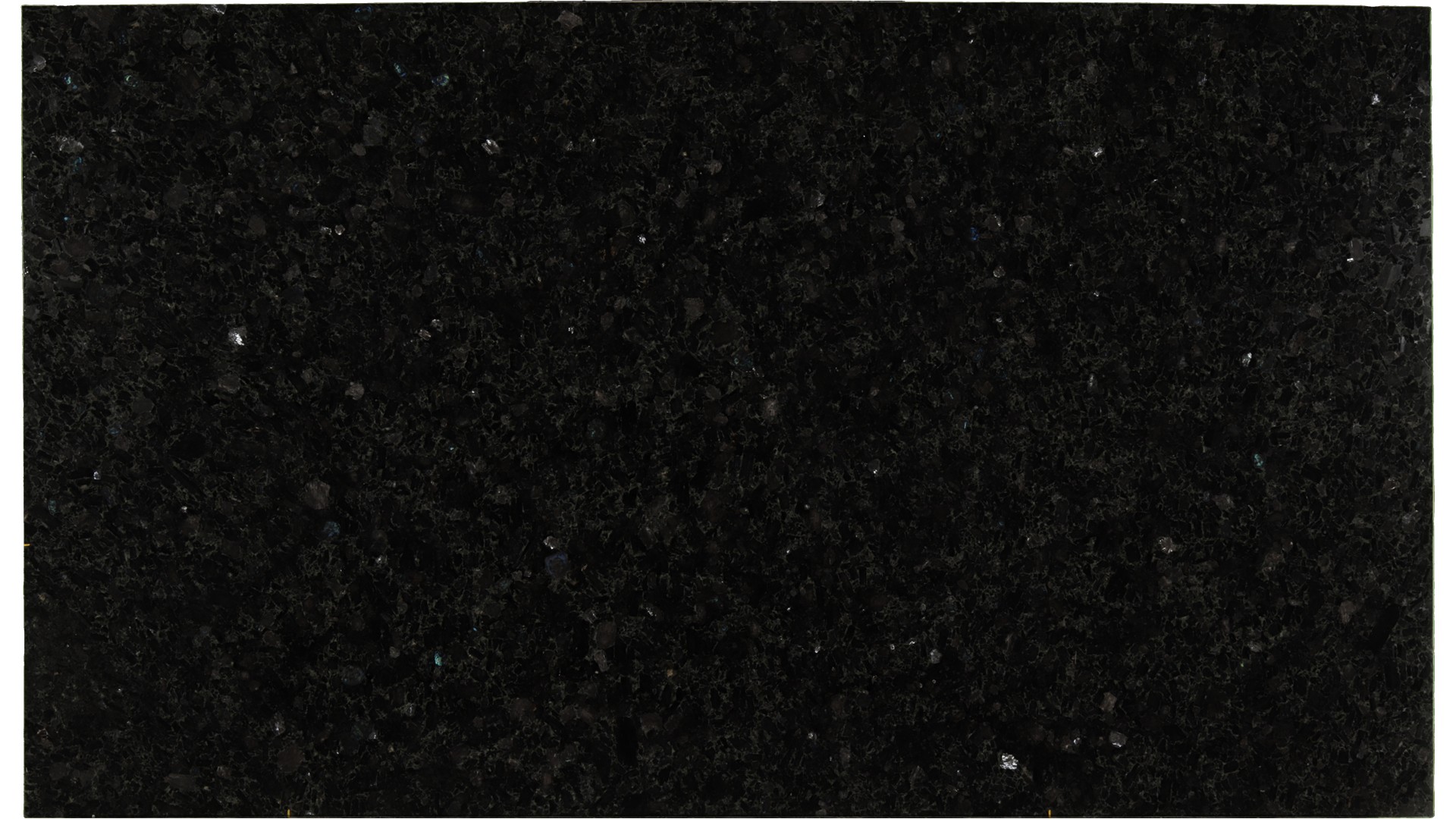 Volga-Blue-Classic in Atlanta GA