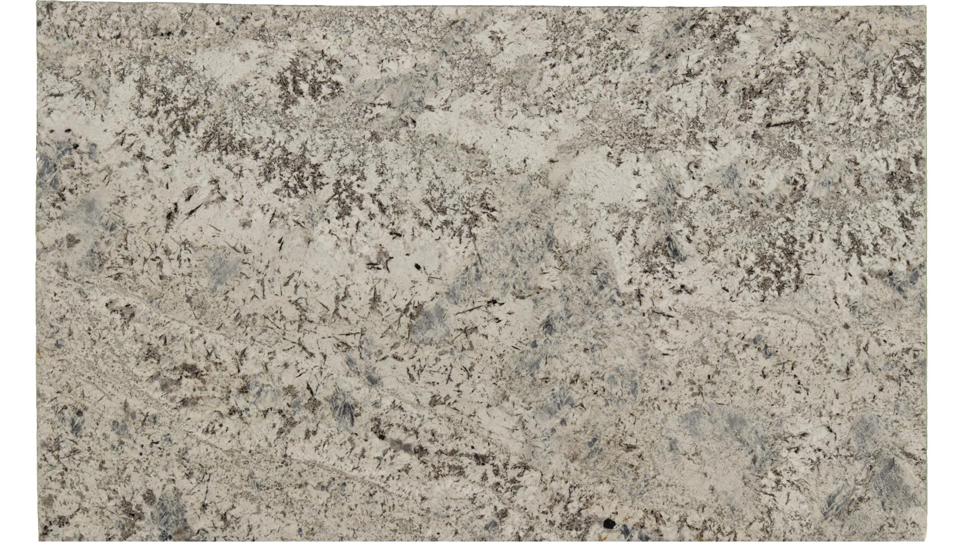 Sparkle-Grey in Atlanta GA