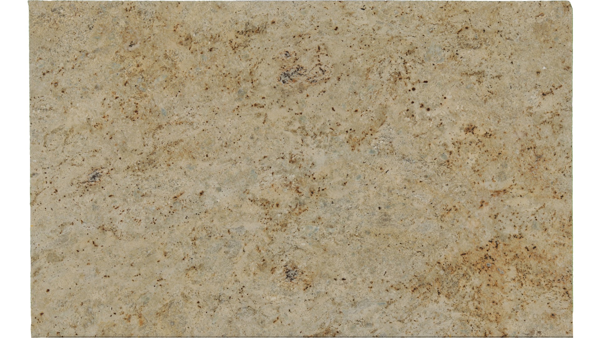 Colonial-Gold in Atlanta GA