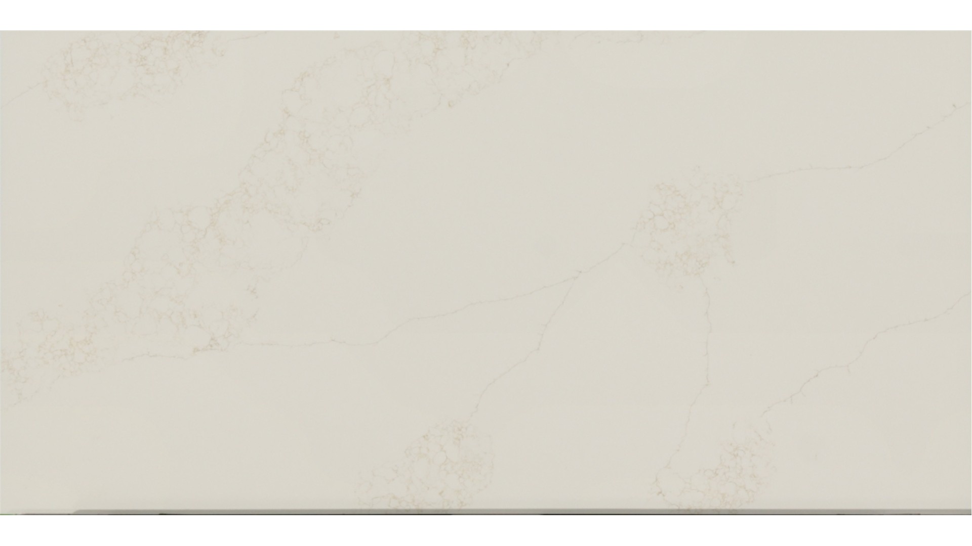 Magnolia in Atlanta GA