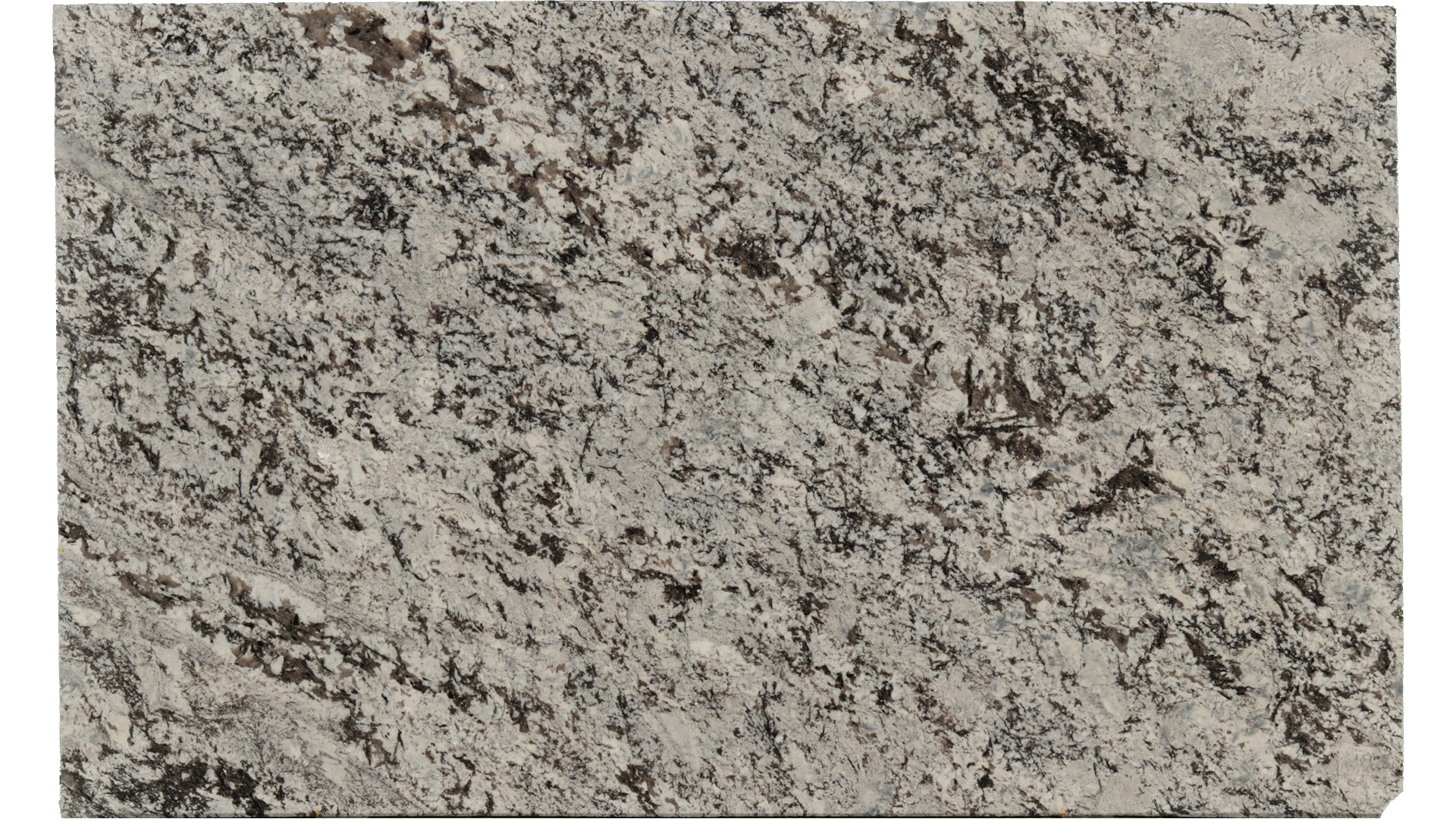 Lennon in Atlanta GA