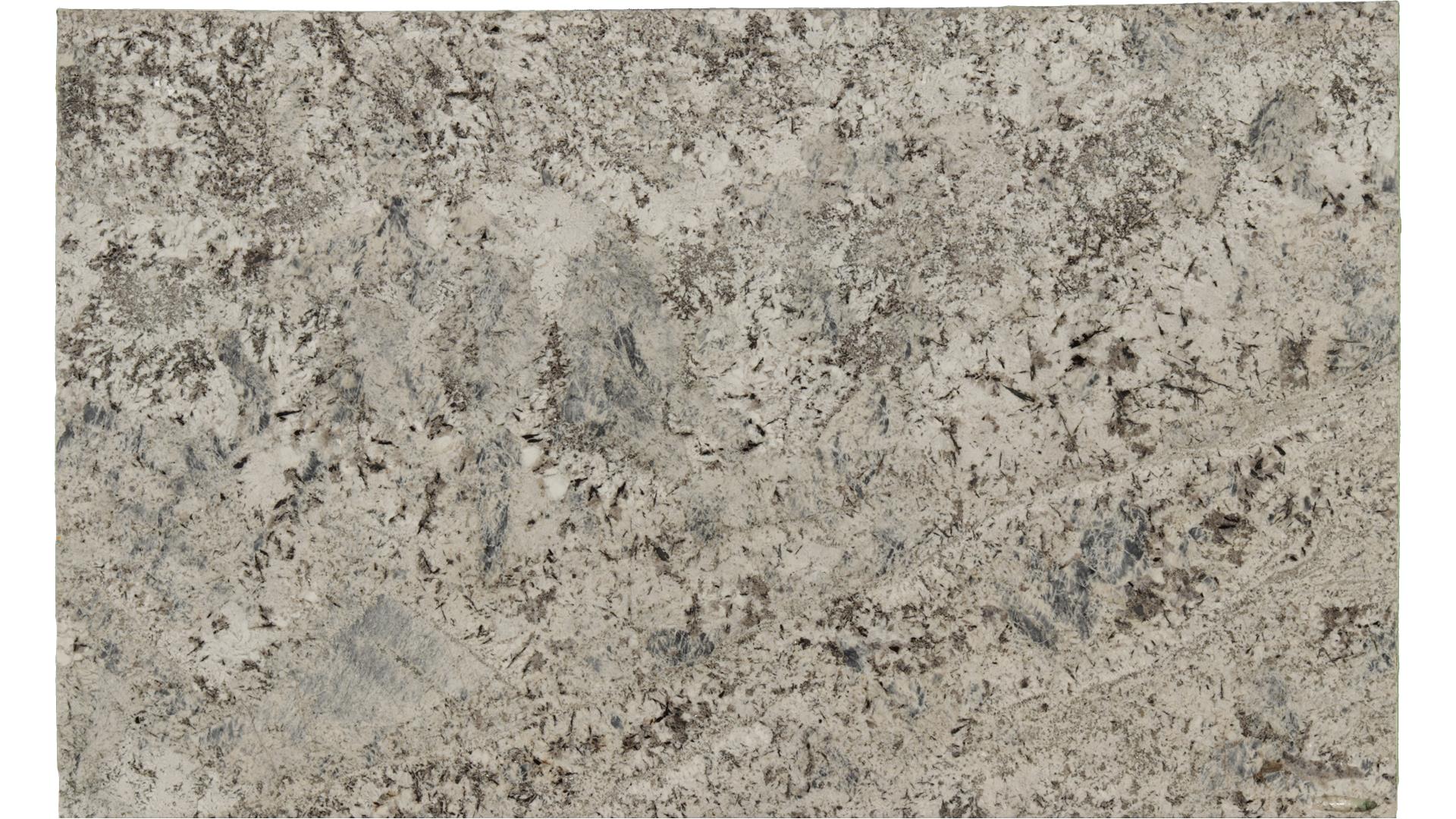 Sparkle-Grey in Atlanta GA