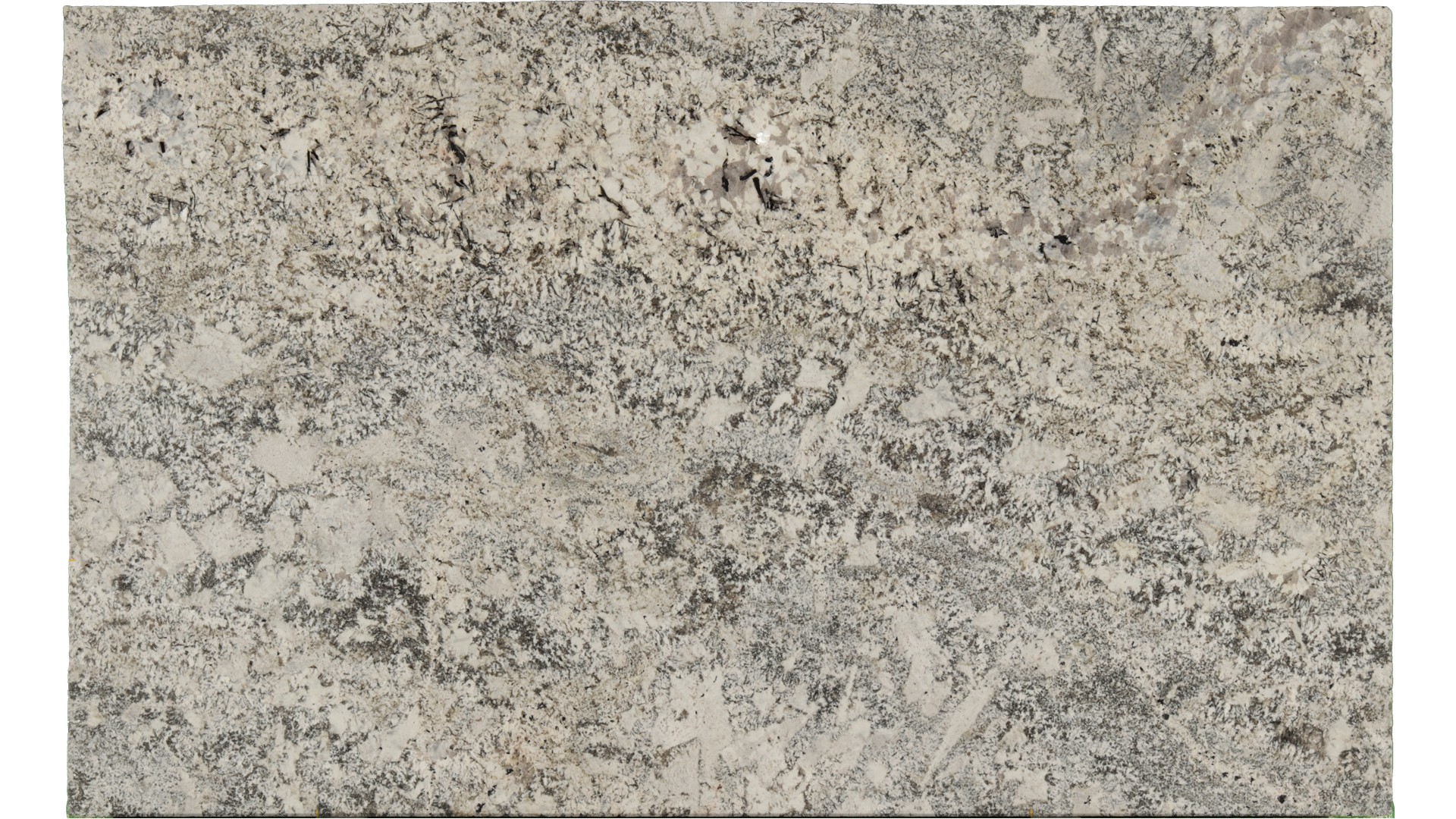 Arandis-White in Atlanta GA