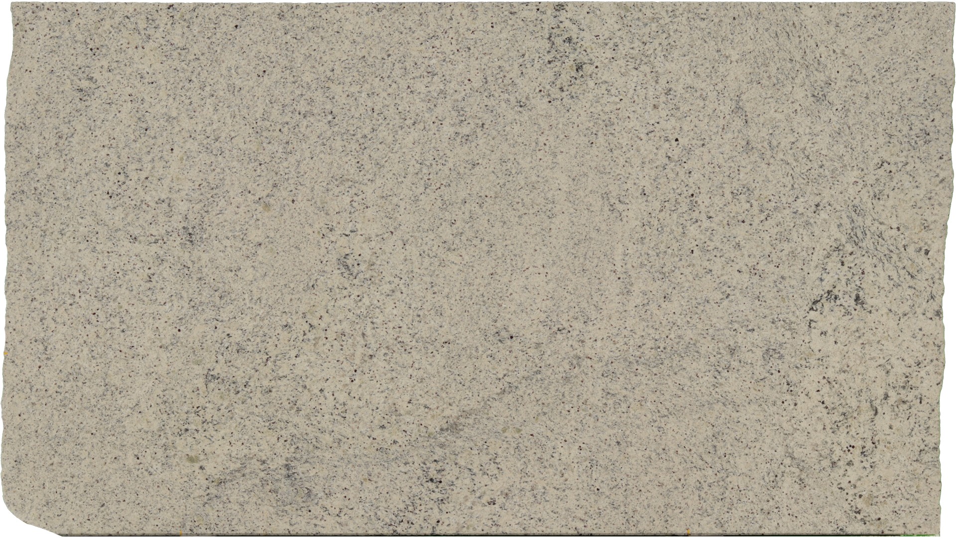 Dallas-White in Atlanta GA