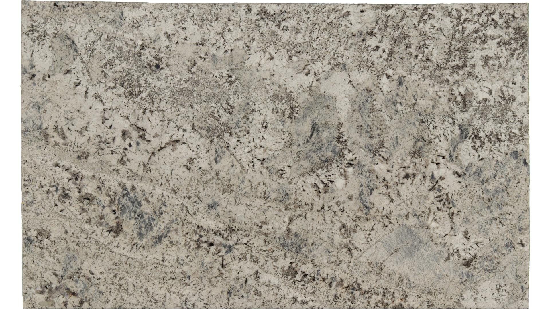 Sparkle-Grey in Atlanta GA