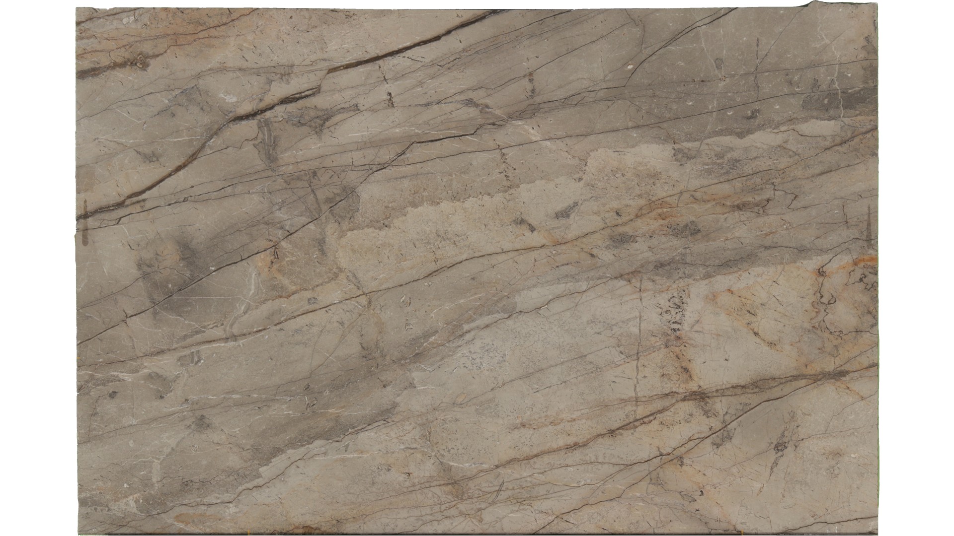 Silver-Roots in Atlanta GA