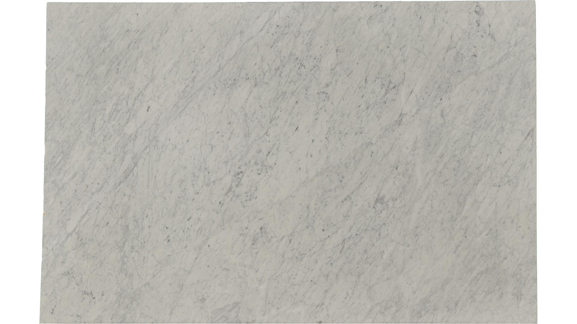 White-Carrara in Atlanta GA