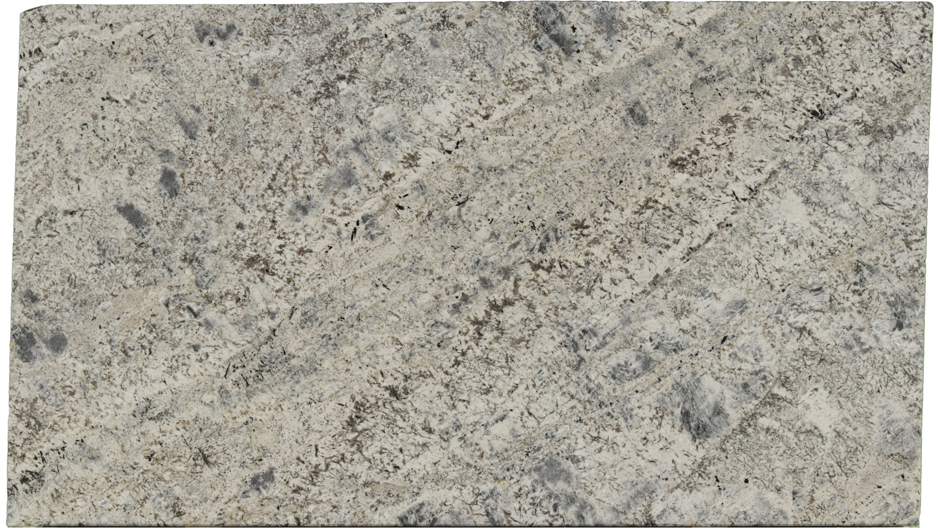 Sparkle-Grey in Atlanta GA