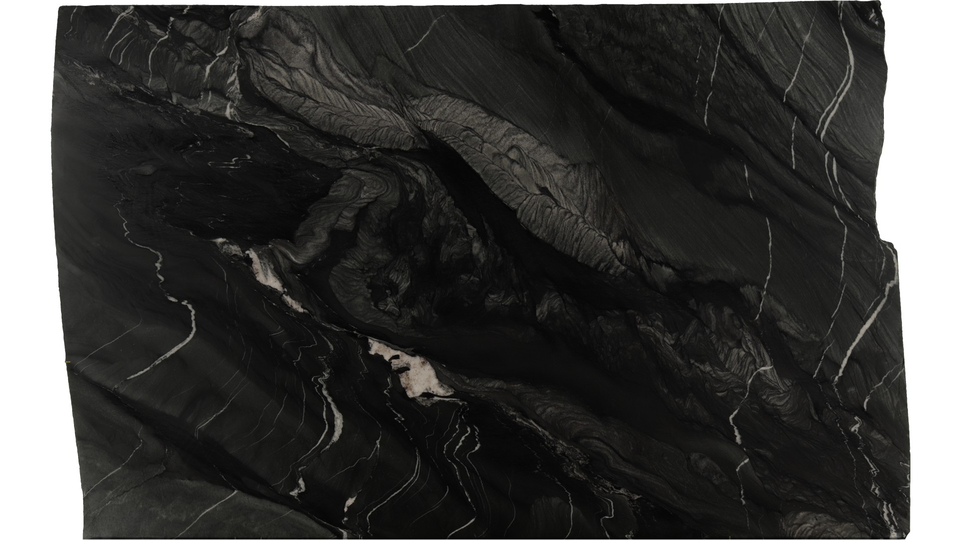 Black-Tempest in Atlanta GA