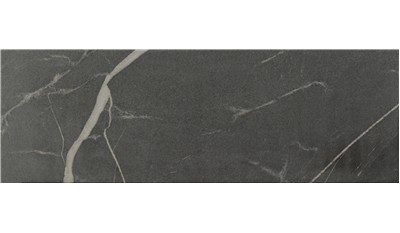 Elegant Gray