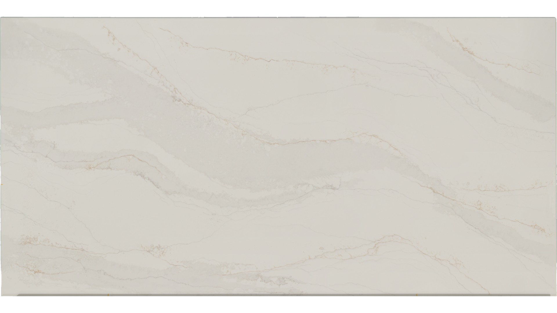 Splendor in Atlanta GA