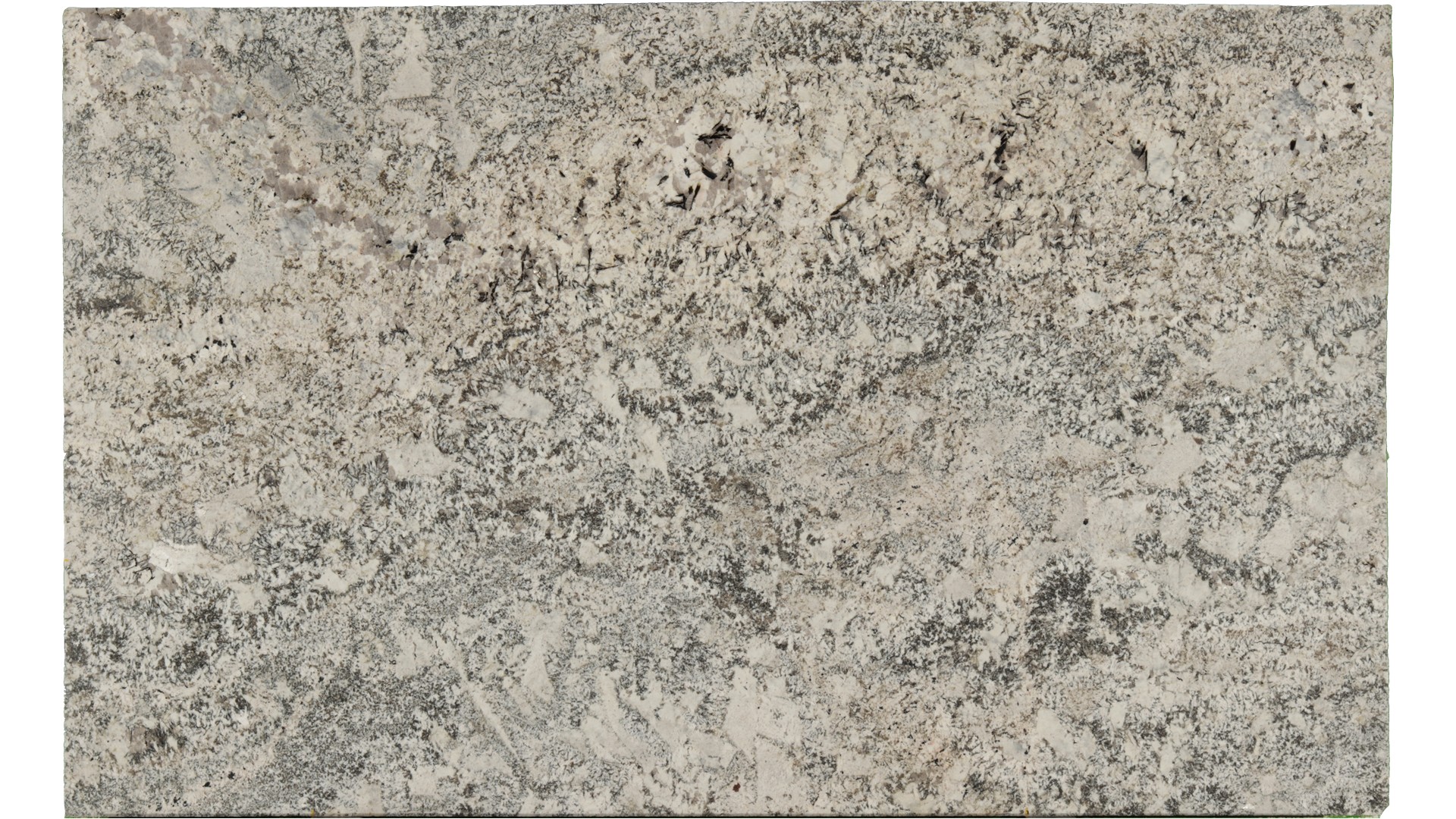 Arandis-White in Atlanta GA