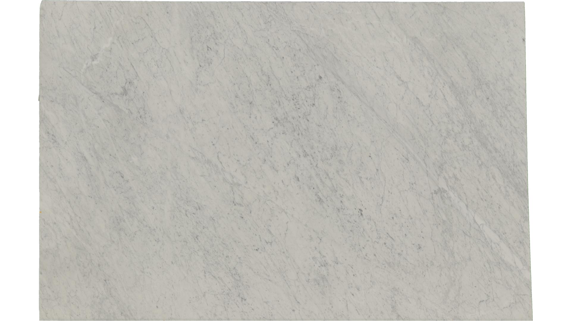 White-Carrara in Atlanta GA