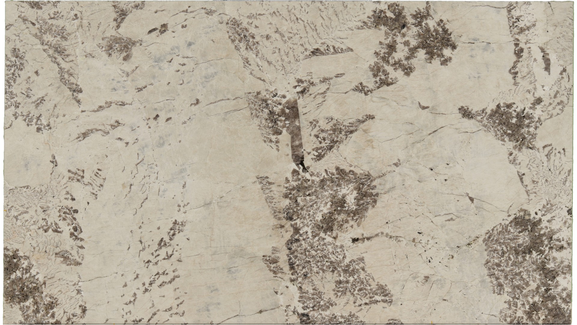 Antionette in Atlanta GA