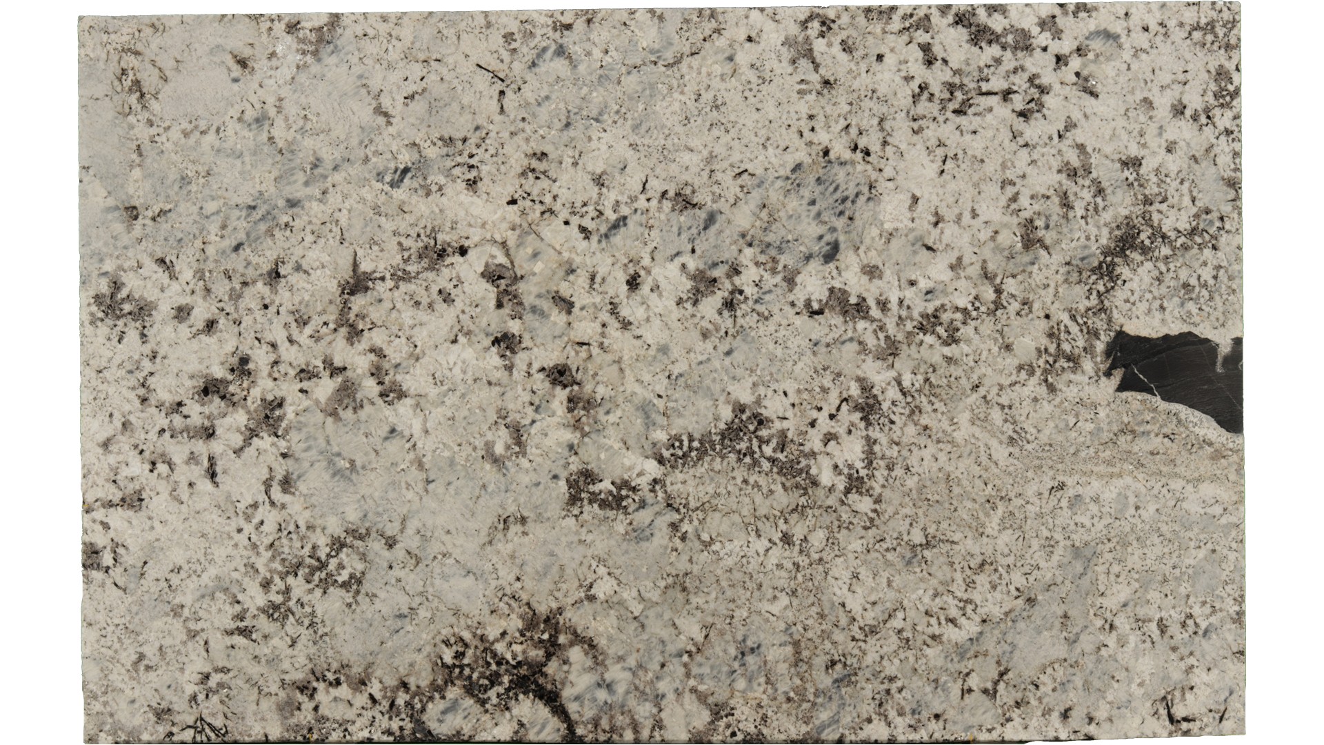 Alaska-Blue in Atlanta GA