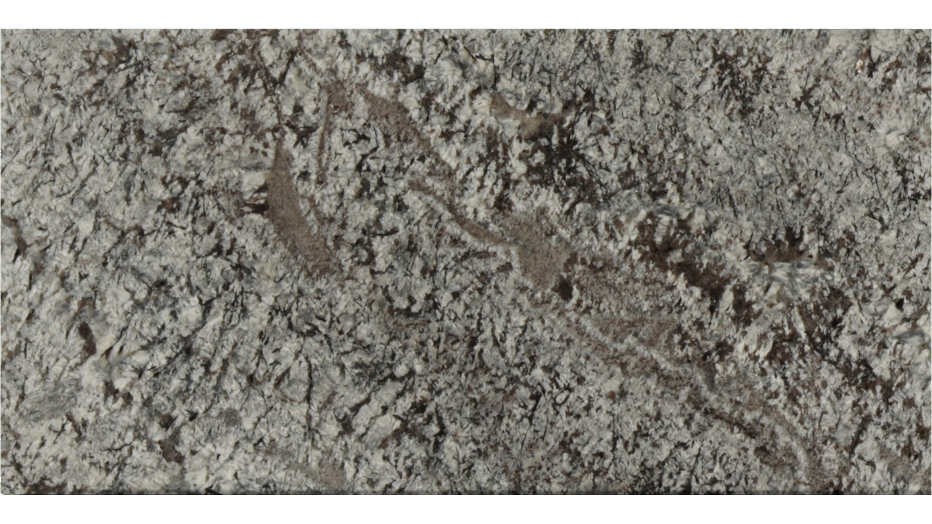 Lennon in Atlanta GA