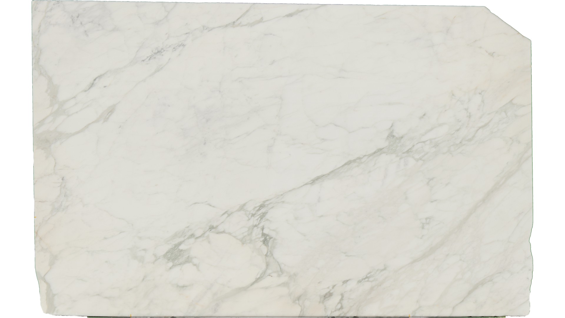 Calacatta-Caldia in Atlanta GA