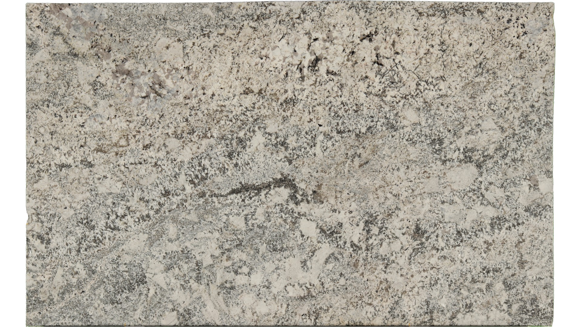 Arandis-White in Atlanta GA