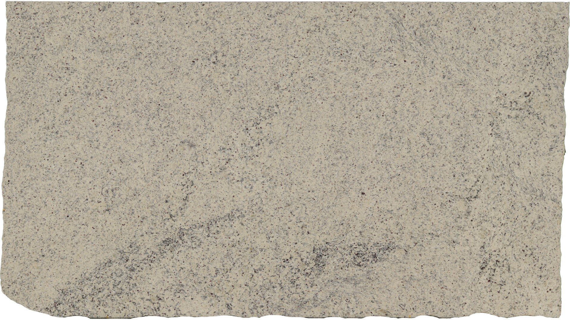 Dallas-White in Atlanta GA