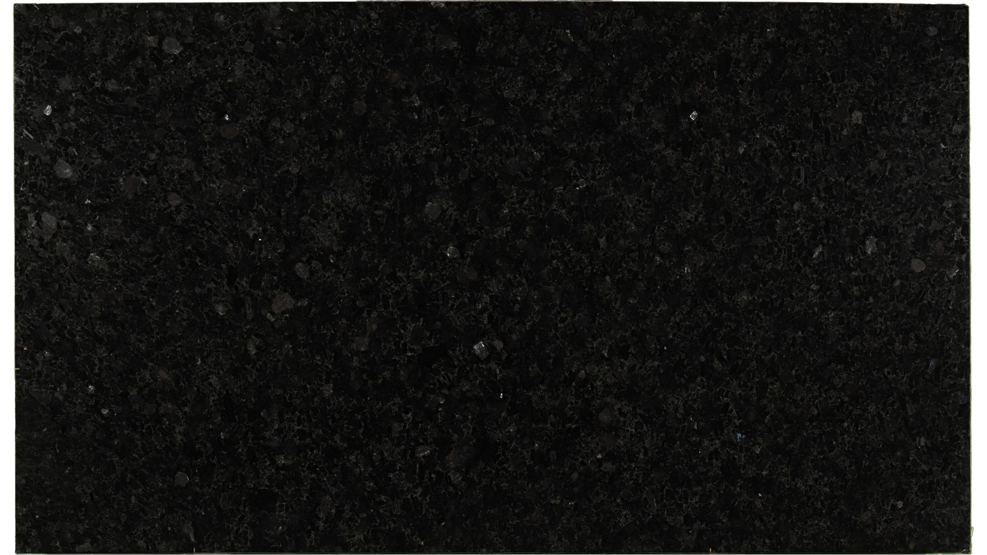 Volga-Blue-Classic in Atlanta GA