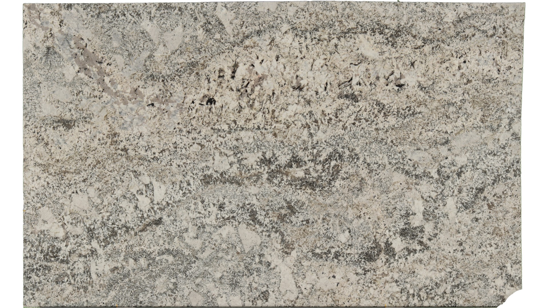 Arandis-White in Atlanta GA