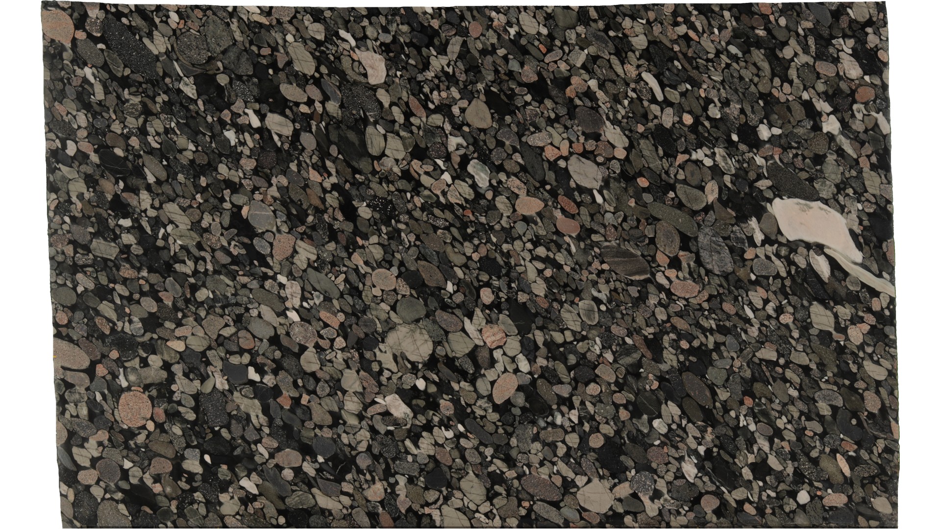 Jurassic-Black-w/gold in Atlanta GA