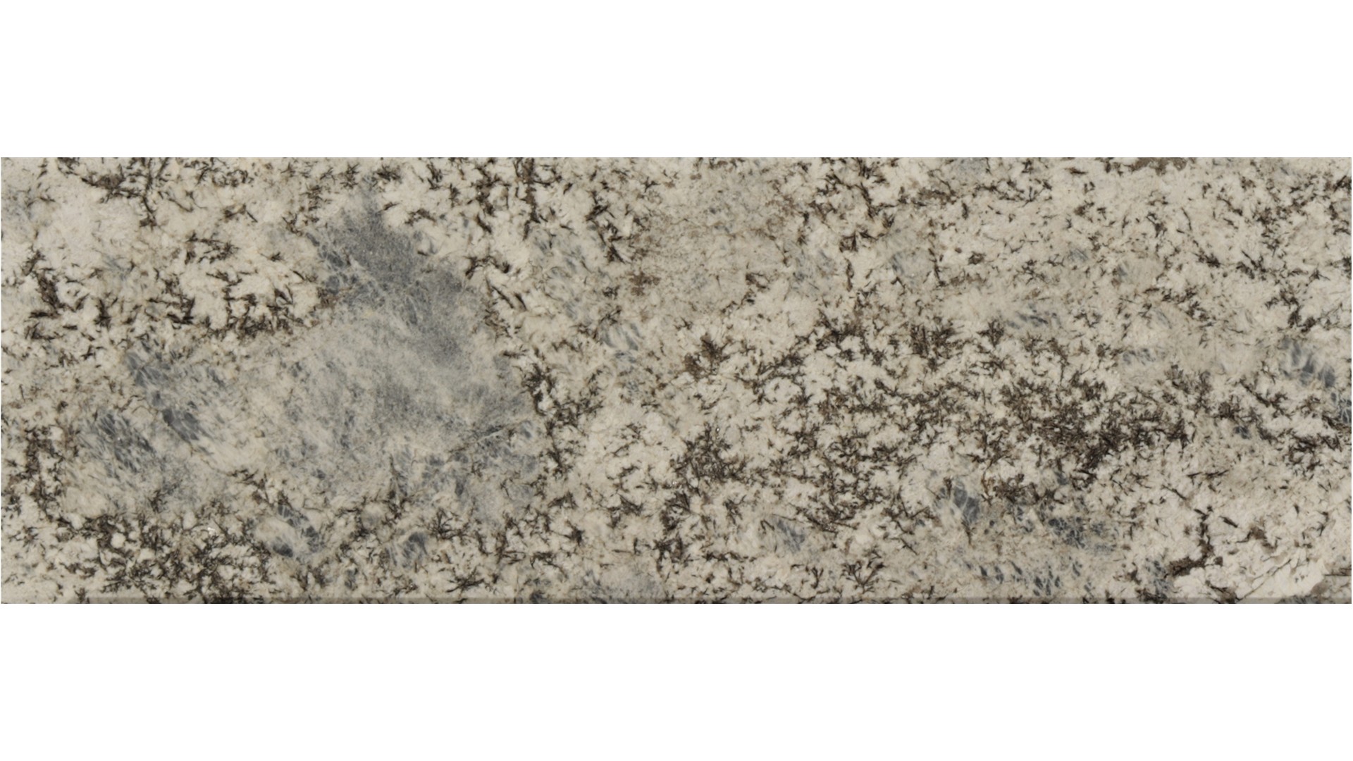 Sparkle-Grey in Atlanta GA