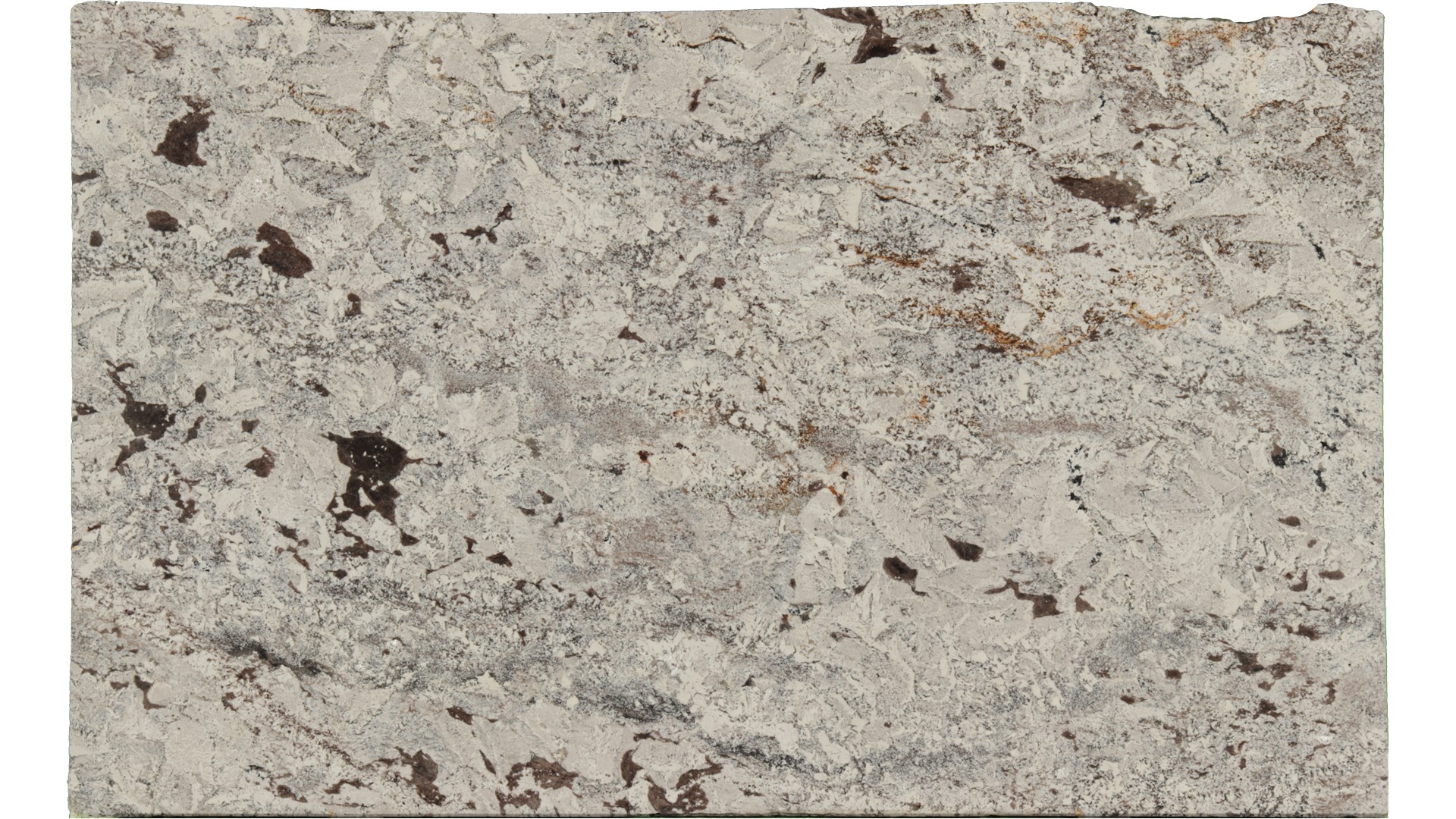 Crazy-Horse-White in Atlanta GA