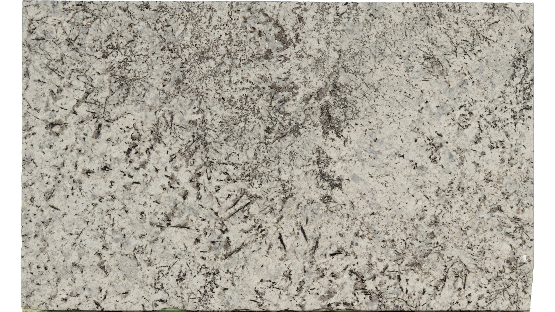 Persa-Blue in Atlanta GA